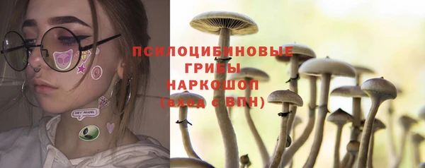 синтетический гашиш Алексеевка