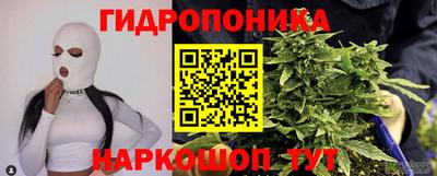 шишки Пушкино