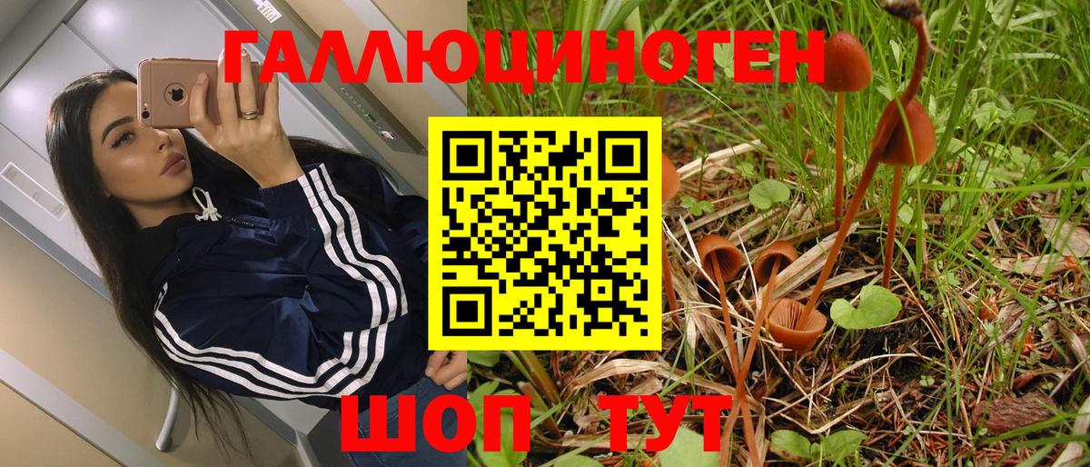Галлюциногенные грибы MAGIC MUSHROOMS Якутск