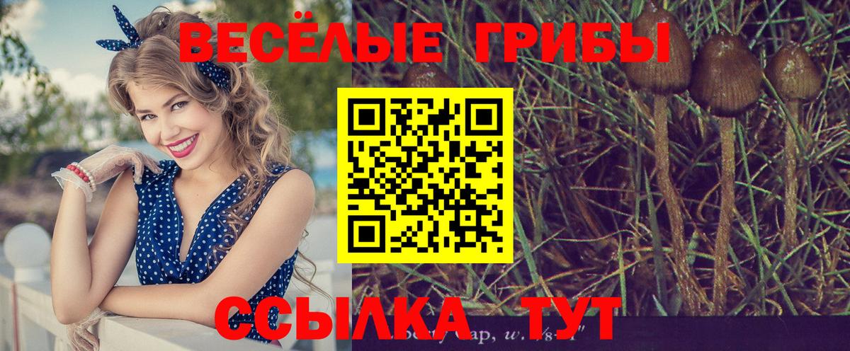 Псилоцибиновые грибы Psilocybine cubensis  Вход с VPN  Якутск 